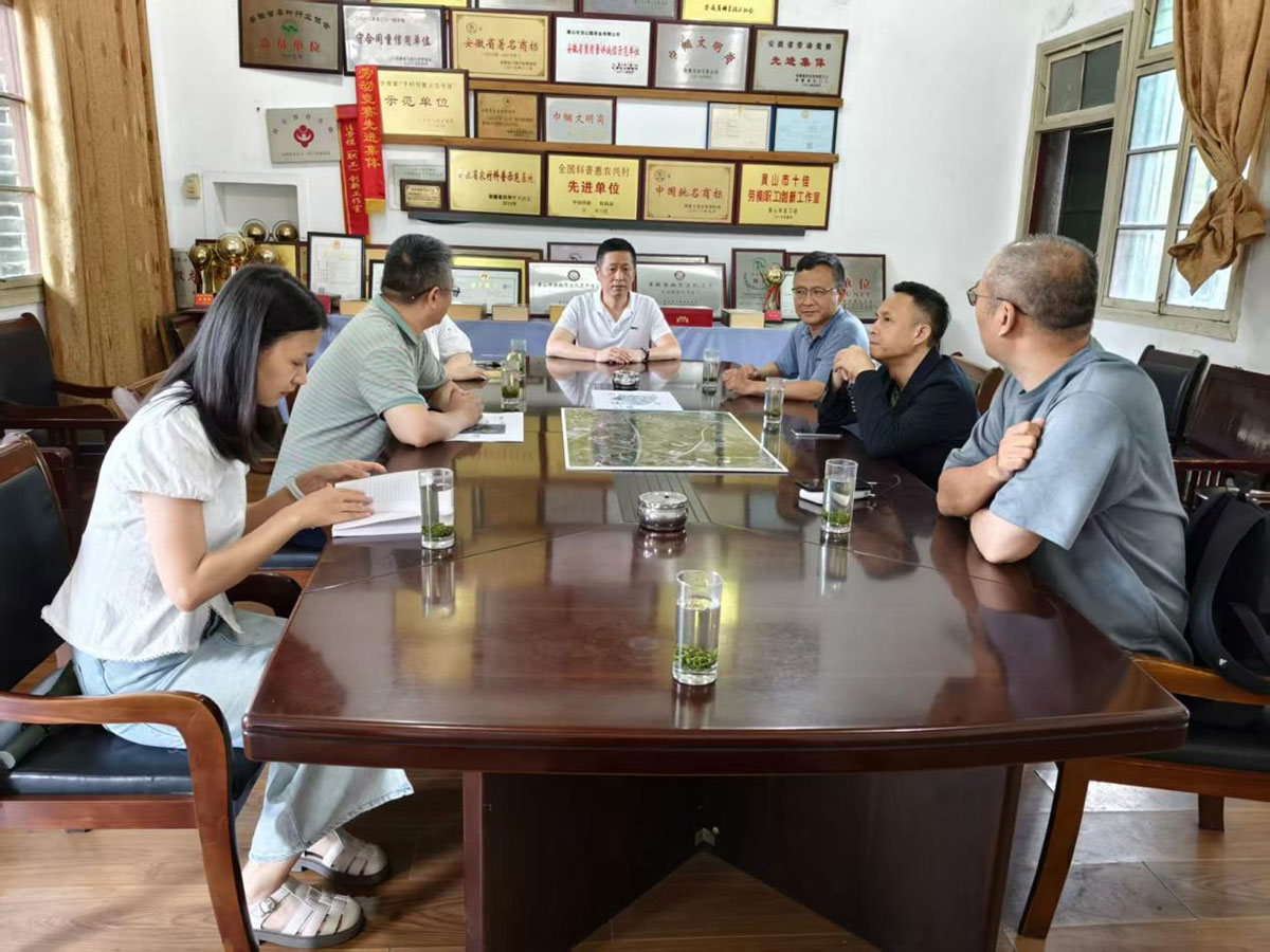 江蘇外聯(lián)采考察團(tuán)到實驗茶場考察，共商茶產(chǎn)業(yè)合作新藍(lán)圖