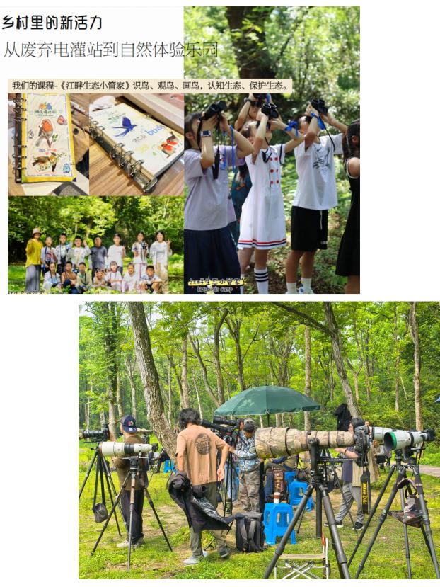 8000萬熱度炸屏！屯溪“護村小祖宗”聯動短劇頂級頭部平臺帶火綬帶鳥，短劇+文旅解鎖鄉(xiāng)村振興新密碼