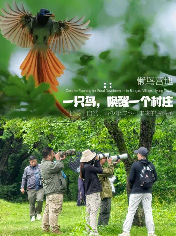 8000萬熱度炸屏！屯溪“護(hù)村小祖宗”聯(lián)動(dòng)短劇頂級頭部平臺(tái)帶火綬帶鳥，短劇+文旅解鎖鄉(xiāng)村振興新密碼